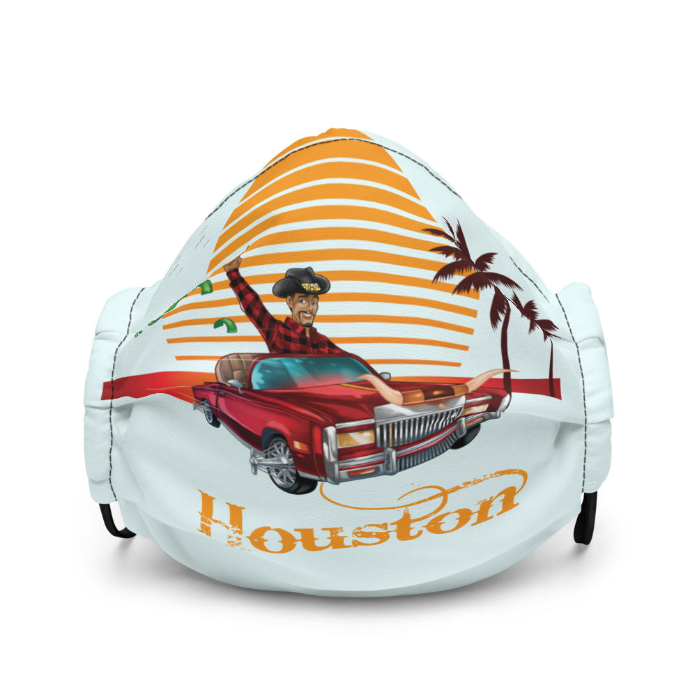 Houston Sunset face mask
