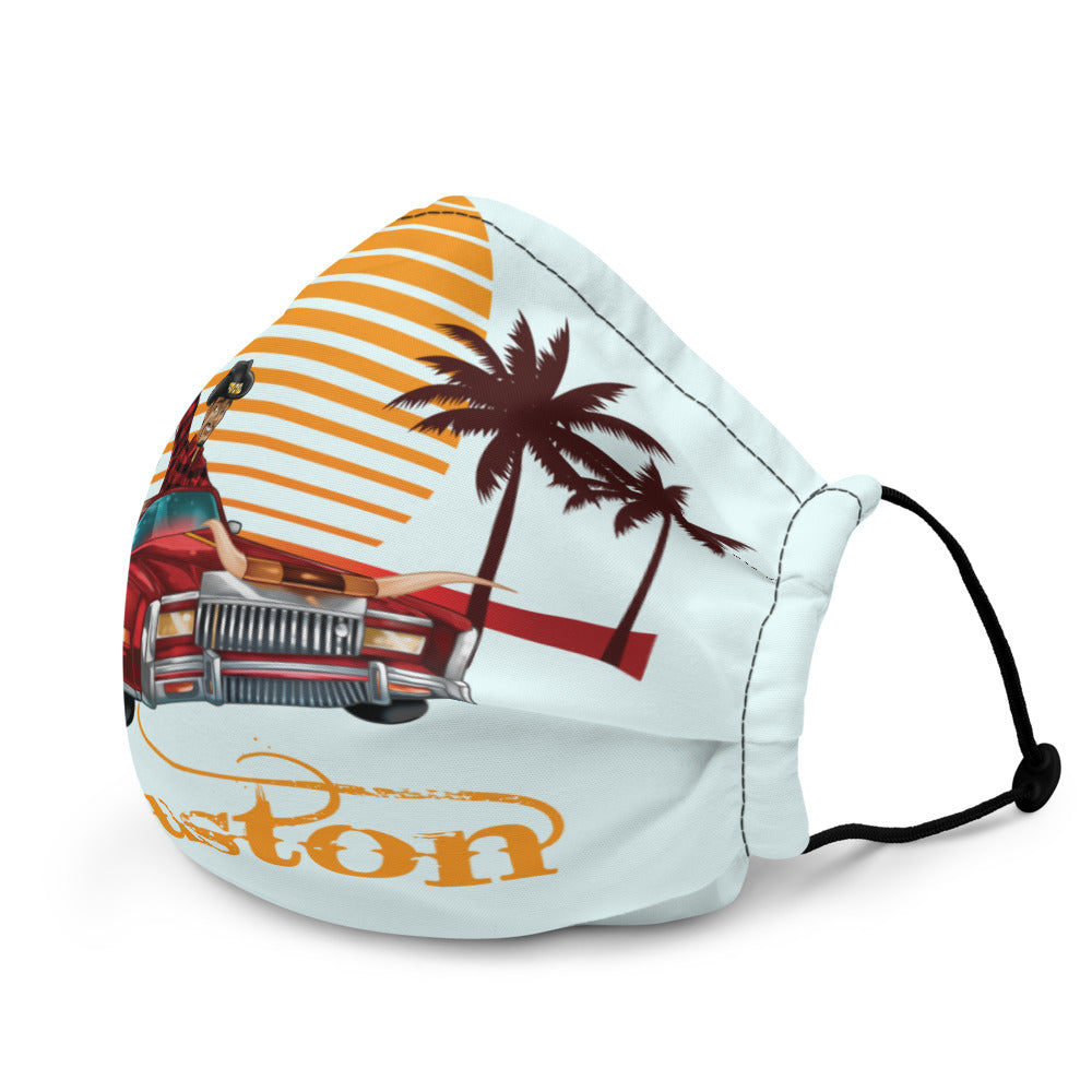 Houston Sunset face mask